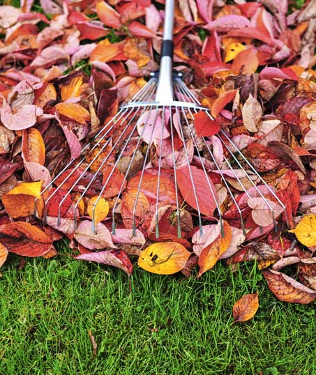 Happy Days Lawn Service, Inc. Fall Clean Up