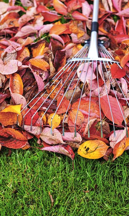 Happy Days Lawn Service, Inc. Fall Clean Up